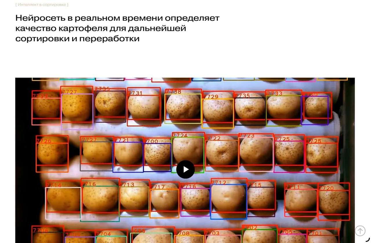 Нейросеть определяет качество картофеля для сортировки и переработки